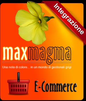 maxmagma_e-commerce